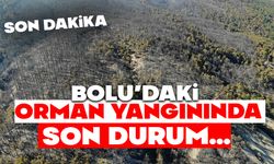 Bolu'da orman yangınında son durum