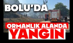 Bolu'da ormanlık alanda yangın çıktı