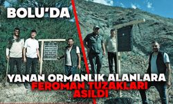 Bolu’da yanan ormanlık alanlara feromon tuzakları asıldı