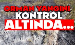 Bolu’daki orman yangını tamamen kontrol altına alındı