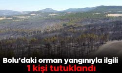 Bolu’daki orman yangınıyla ilgili 1 kişi tutuklandı