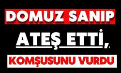 Domuz sanıp ateş etti, komşusunu vurdu
