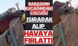 Babasının kucağındaki çocuğu ısırarak alıp havaya fırlattı