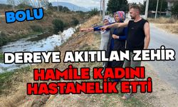 Bolu'da dereye akıtılan zehir hamile kadını hastanelik etti