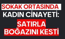 Sokak ortasında kadın cinayeti: Satırla boğazını kesti