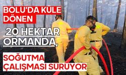 Bolu'da küle dönen 20 hektar ormanda, soğutma çalışması sürüyor