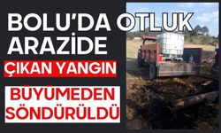 Bolu'da otluk arazide çıkan yangın büyümeden söndürüldü