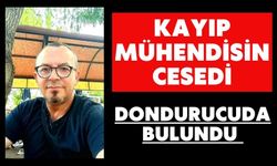 Kayıp mühendisin cesedi dondurucuda bulundu