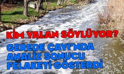 Gerede Çayı’nda kirlilik alarmı: “Bilimsel veriler zehir yükünü ortaya koyuyor”