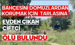 Bahçesini domuzlardan korumak için evden çıkan çiftçi tarlasına ölü bulundu