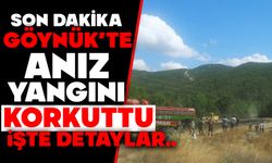 Göynük’te Anız Yangını Korkuttu