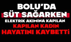 Süt sağarken elektrik akımına kapılan kadın hayatını kaybetti