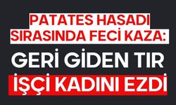 Patates hasadı sırasında feci kaza: Geri giden tır işçi kadını ezdi