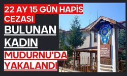 22 ay 15 gün hapis cezası bulunan kadın Mudurnu'da yakalandı