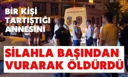 Bir kişi tartıştığı annesini silahla başından vurarak öldürdü