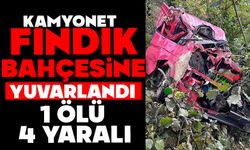 Kamyonet fındık bahçesine yuvarlandı: 4 ölü, 1 yaralı