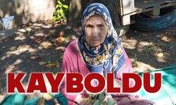 81 yaşındaki kadın heryerde aranıyor