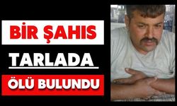 Bir şahıs tarlada ölü bulundu