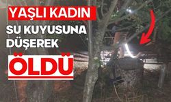 Yaşlı kadın su kuyusuna düşerek öldü