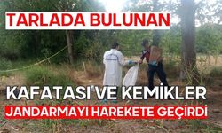 Tarlada bulunan kafatası ve kemikler jandarmayı harekete geçirdi