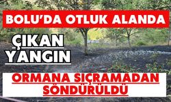 Bolu’da otluk alanda çıkan yangın ormana sıçramadan söndürüldü