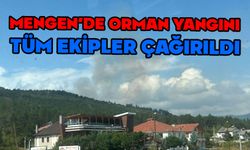 Mengen’de orman yangını, tüm ekipler sevk edildi