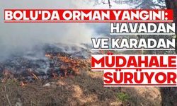 Bolu'da orman yangını: Havadan ve karadan müdahale sürüyor