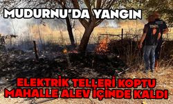 Mudurnu'da elektrik telleri koptu, yangın çıktı