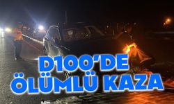 D100'de otomobilin çarptığı yaşlı adam hayatını kaybetti