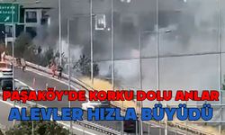 Bolu’da, otlar alev alev yandı