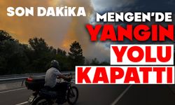 Mengen'de yangın yolu kapattı