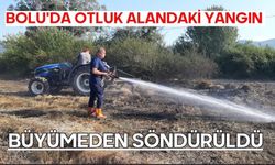 Bolu'da otluk alandaki yangın büyümeden söndürüldü