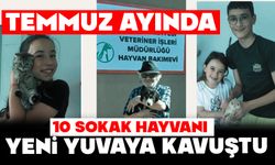 Temmuz Ayında 10 Sokak Hayvanı Yeni Yuvaya Kavuştu