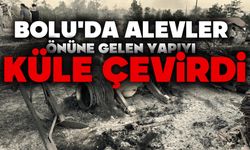 Bolu’da alevler önüne gelen yapıyı küle çevirdi