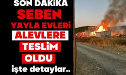 Seben’de Yayla Evi Alevlere Teslim Oldu: Ekipler Seferber Oldu