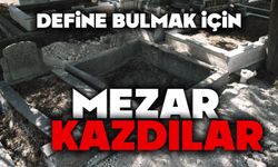 Define bulmak için mezar kazdılar