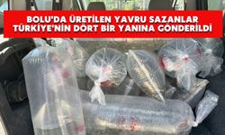Bolu'da üretilen yavru sazanlar Türkiye'nin dört bir yanına gönderildi