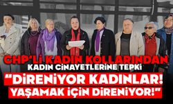 CHP’li kadın kollarından kadın cinayetlerine tepki