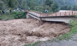 Rize'de şiddetli yağışlar ve sel büyük yıkımlara yol açtı