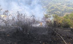 Zonguldak'ta 2 dekarlık alanda örtü yangını
