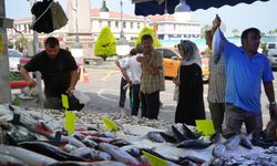 Hamsi için geri sayım başladı: Balıkçılar yolunu gözlüyor