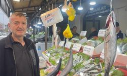 Karadeniz'de bu yıl hamsi beklentisi büyük