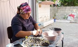 Devrek'te üretilen aronya meyve suyu büyük ilgi görüyor
