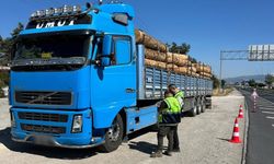 Düzce'den 9 bin 967,5 ton orman ürünü ihraç edildi