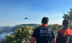 Alanya'da 3 mahalledeki orman yangını kontrol altında: 400 hektar alan zarar gördü