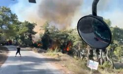Manavgat'ta arazide başlayan yangın ormanlık alana sıçradı