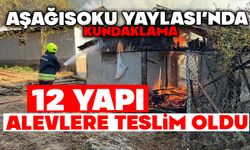 AŞAĞISOKU YAYLASI’NDA KUNDAKLAMA; 12 YAPI ALEVLERE TESLİM OLDU!