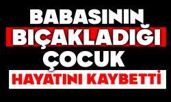 Babasının bıçakladığı çocuk hayatını kaybetti