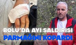 Bolu'da ayı saldırısı, parmağını kopardı