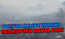 Bolu'da orman yangını